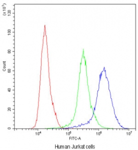 Flow cytometry testing of human Jurkat cells with NFAT2 antibody at 1ug/million cells (blocked with goat sera); Red=cells alone, Green=isotype control, Blue=NFAT2 antibody.