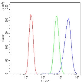 Flow cytometry testing of human U-2 OS cells with Cdc20 antibody at 1ug/million cells (blocked with goat sera); Red=cells alone, Green=isotype control, Blue= Cdc20 antibody.
