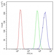 Flow cytometry testing of human U-2 OS cells with Cdc20 antibody at 1ug/10^6 cells (blocked with goat sera); Red=cells alone, Green=isotype control, Blue= Cdc20 antibody.