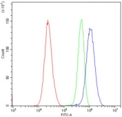 Flow cytometry testing of human HeLa cells with c-Raf antibody at 1ug/10^6 cells (blocked with goat sera); Red=cells alone, Green=isotype control, Blue= c-Raf antibody.