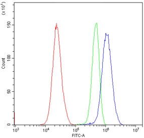 Flow cytometry testing of human HeLa cells with c-Raf antibody at