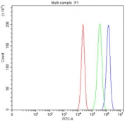 Immunofluorescent staining of FFPE human tonsil with PTP1B antibody. HIER: boil tissue sections in pH6, 10mM citrate buffer, for 20 min and allow to cool before testing.