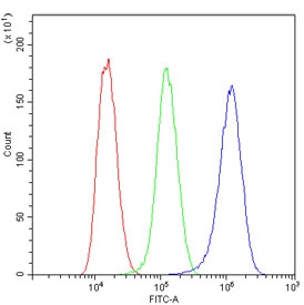 Flow cytometry testing of human U-2 OS cells with PTP1B antibody at 1ug/million cells (blocked with goat sera); Red=cells alone, Green=isotype control, Blue= PTP1B antibody.