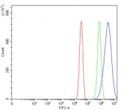 Flow cytometry testing of mouse Neuro-2a cells with Bid antibody at 1ug/million cells (blocked with goat sera); Red=cells alone, Green=isotype control, Blue= Bid antibody.