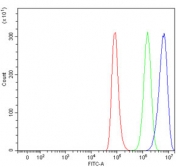 Flow cytometry testing of human A549 cells with DDX3 antibody at 1ug/million cells (blocked with goat sera); Red=cells alone, Green=isotype control, Blue= DDX3 antibody.