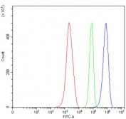 Flow cytometry testing of mouse ANA-1 cells with DDX3 antibody at 1ug/million cells (blocked with goat sera); Red=cells alone, Green=isotype control, Blue= DDX3 antibody.