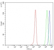 Flow cytometry testing of human HepG2 cells with PAH antibody at 1ug/million cells (blocked with goat sera); Red=cells alone, Green=isotype control, Blue= PAH antibody.