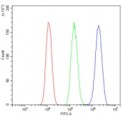 Flow cytometry testing of human A549 cells with NR1H4 antibody at 1ug/million cells (blocked with goat sera); Red=cells alone, Green=isotype control, Blue= NR1H4 antibody.