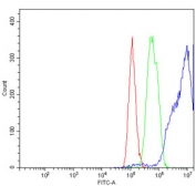 Flow cytometry testing of human HepG2 cells with PDCD4 antibody at 1ug/million cells (blocked with goat sera); Red=cells alone, Green=isotype control, Blue= PDCD4 antibody.