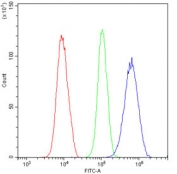 Flow cytometry testing of human U-2 OS cells with VEGFR3 antibody at 1ug/10^6 cells (blocked with goat sera); Red=cells alone, Green=isotype control, Blue= VEGFR3 antibody.