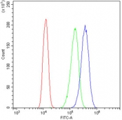 Flow cytometry testing of human A431 cells with Xanthine Oxidase antibody at 1ug/million cells (blocked with goat sera); Red=cells alone, Green=isotype control, Blue= Xanthine Oxidase antibody.