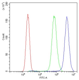 Flow cytometry testing of human PC-3 cells with FH antibody at 1ug/million cells (blocked with goat sera); Red=cells alone, Green=isotype control, Blue= FH antibody.