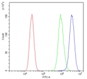 Flow cytometry testing of human A431 cells with FH antibody at 1ug/10^6 cells (blocked with goat sera); Red=cells alone, Green=isotype control, Blue= FH antibody.