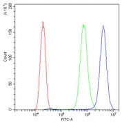 Flow cytometry testing of human PC-3 cells with FH antibody at 1ug/10^6 cells (blocked with goat sera); Red=cells alone, Green=isotype control, Blue= FH antibody.