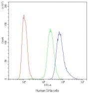 Flow cytometry testing of human SiHa cells with NFATC4 antibody at 1ug/10^6 cells (blocked with goat sera); Red=cells alone, Green=isotype control, Blue=NFATC4 antibody.