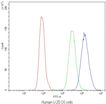 Flow cytometry testing of human U-2 OS cells with NFAT4 antibody at 1ug/million cells (blocked with goat sera); Red=cells alone, Green=isotype control, Blue=NFAT4 antibody.