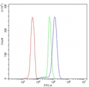 Flow cytometry testing of human U937 cells with Cyclophilin B antibody at 1ug/million cells (blocked with goat sera); Red=cells alone, Green=isotype control, Blue= Cyclophilin B antibody.