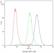 Flow cytometry testing of human A431 cells with PLIN1 antibody at 1ug/10^6 cells (blocked with goat sera); Red=cells alone, Green=isotype control, Blue=PLIN1 antibody.