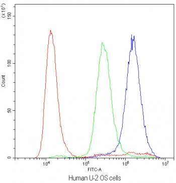 Flow cytometry testing of human U-2 OS cells with PLIN1 antibody at 1ug/million cells (blocked with goat sera); Red=cells alone, Green=isotype control, Blue=PLIN1 antibody.