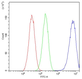 Flow cytometry testing of human HepG2 cells with COPE antibody at 1ug/million cells (blocked with goat sera); Red=cells alone, Green=isotype control, Blue= COPE antibody.