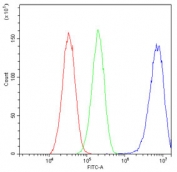 Flow cytometry testing of human HepG2 cells with COPE antibody at 1ug/10^6 cells (blocked with goat sera); Red=cells alone, Green=isotype control, Blue= COPE antibody.