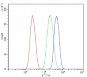 Flow cytometry testing of human Caco-2 cells with MMP16 antibody at 1ug/million cells (blocked with goat sera); Red=cells alone, Green=isotype control, Blue= MMP16 antibody.