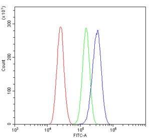 Flow cytometry testing of human U-87 MG cells with CCN3 antibody at 1ug/million cells (blocked with goat sera); Red=cells alone, Green=isotype control, Blue= CCN3 antibody.