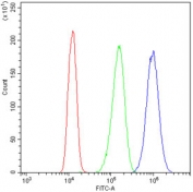 Flow cytometry testing of human A431 cells with MED18 antibody at 1ug/million cells (blocked with goat sera); Red=cells alone, Green=isotype control, Blue= MED18 antibody.