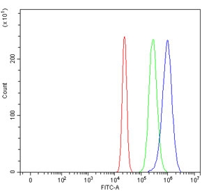 Flow cytometry testing of human U-2 OS cells with Bcl-2 antibody at 1ug/million cells (blocked with goat sera); Red=cells alone, Green=isotype control, Blue= CD59 antibody.
