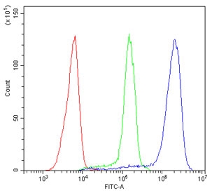 Flow cytometry testing of human Jurkat cells with CD44 antibody at 1ug/million cells (blocked with goat sera); Red=cells alone, Green=isotype control, Blue= CD44 antibody.