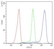 Flow cytometry testing of human Jurkat cells with CD44 antibody at 1ug/10^6 cells (blocked with goat sera); Red=cells alone, Green=isotype control, Blue= CD44 antibody.