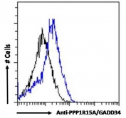 FACS testing of fixed and permeabilized human HepG2 cells with GADD34 antibody at 10ug/10^6 cells.