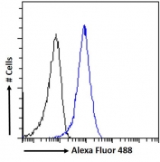 FACS testing of fixed and permeabilized human MCF7 cells with Pericentrin 1 antibody (blue) at 10ug/ml and naive goat Ig (black).