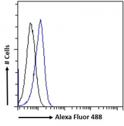 FACS testing of fixed and permeabilized human HEK293 cells with PLA2R1 antibody (blue) at 10ug/ml and naive goat Ig (black).