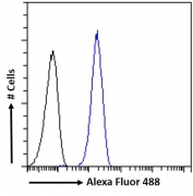 FACS testing of fixed and permeabilized human HeLa cells with TOM1L1 antibody (blue) at 10ug/ml and naive goat Ig (black).