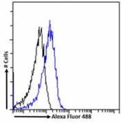 FACS testing of fixed and permeabilized human MCF7 cells with NO66 antibody (blue) at 10ug/ml and naive goat Ig (black).