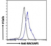 FACS testing of fixed and permeabilized human MCF7 cells with RACGAP1 antibody (blue) at 10ug/10^6 cells and naive goat Ig (black).