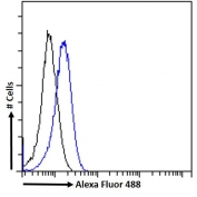 FACS testing of fixed and permeabilized human HeLa cells with RGS14 antibody (blue) at 10ug/ml and naive goat Ig (black).