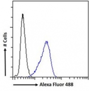 FACS testing of fixed and permeabilized human U-2 OS cells with FXR antibody (blue) at 10ug/10^6 cells in 0.2ml and naive goat Ig (black).