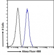 FACS testing of fixed and permeabilized human K562 cells with Plexin D1 antibody (blue) at 1ug/million cells/0.1ml and naive goat Ig (black).