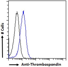 FACS testing of fixed and permeabilized human A431 cells with Thrombospondin antibody at 10ug/10^6 cells.