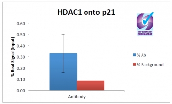 ChIP of 2ug of Hdac1 antibody with MCF7 chromatin using the Chromatrap? spin column sonication kit (Protein G) measuring H3 en