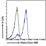 FACS testing of fixed and permeabilized human HeLa cells with UBE2T antibody (blue) at 10ug/ml and naive goat Ig (black).