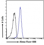 FACS testing of fixed and permeabilized human A431 cells with PRMT5 antibody (blue) at 10ug/ml and naive goat Ig (black).