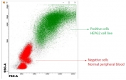 SCD1(+) HepG2 cells were spiked into SCD1(-) human PBLs and FACS tested with SCD1 antibody at 1.25ug/10^6 cells (green) and CD45 mAb (red). 