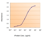 Sandwich ELISA using the VHL antibdoy at 1.5ug/ml as the detect.