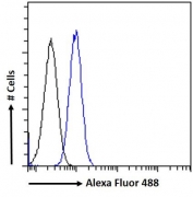 FACS testing of fixed and permeabilized human ThP-1 cells with MKRN1 antibody (blue) at 10ug/ml and naive goat Ig (black).