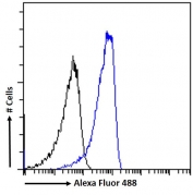 FACS testing of fixed and permeabilized human HeLa cells with GADD34 antibody (blue) at 10ug/10^6 cells in 0.2ml and naive goat Ig (black).
