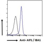 Flow cytometry testing of human K562 cells with IBA1 antibody; Black=isotype control, Blue= IBA1 antibody.