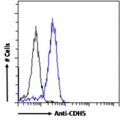 FACS testing of fixed and permeabilized human HeLa cells with Cadherin 5 antibody (blue) at 1ug/million cells/0.1ml and naive goat Ig (black).